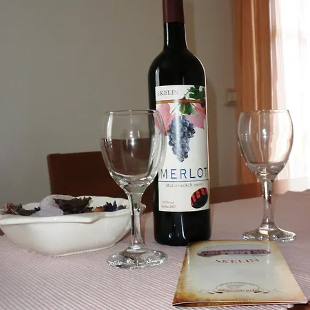 Pensionat Pansion Skelin Drinovci