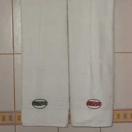 Pansion Skelin Drinovci