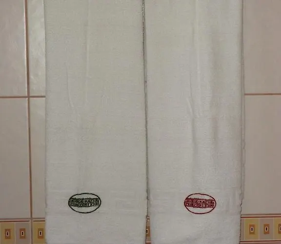 斯凯林旅馆 Drinovci